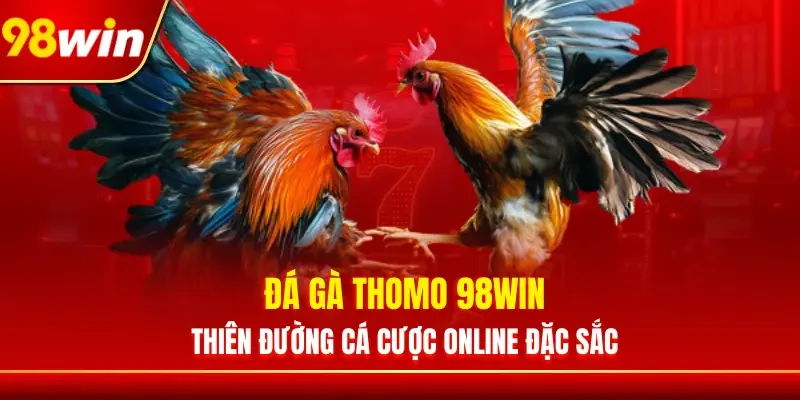 Đá Gà Thomo 98WIN - Thiên Đường Cá Cược Online Đặc Sắc