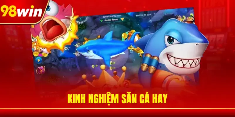 Kinh nghiệm săn cá hay