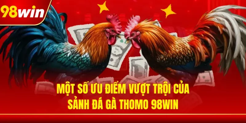 Sảnh đá gà 98WIN cực xịn