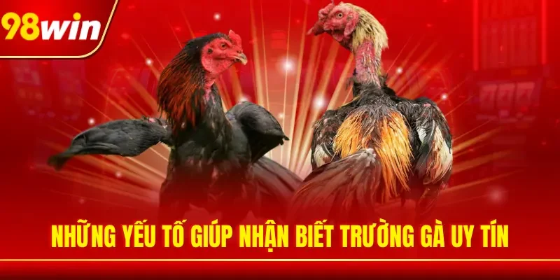 Những yếu tố giúp nhận biết trường gà uy tín