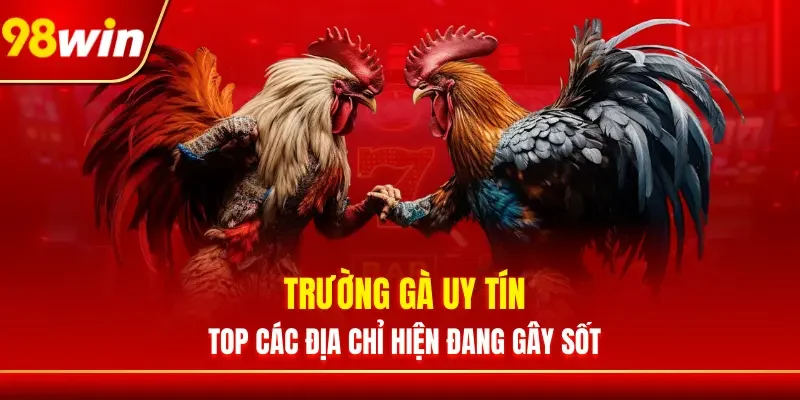 Trường Gà Uy Tín - Top Các Địa Chỉ Hiện Đang Gây Sốt