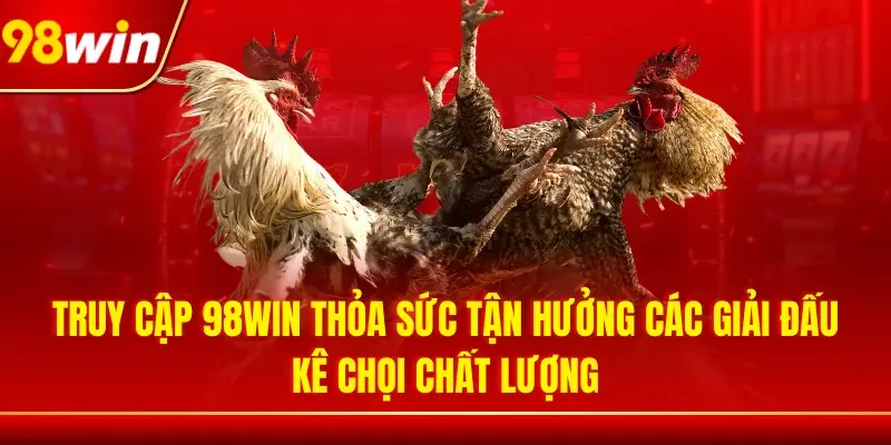 Truy cập 98WIN thỏa sức tận hưởng các giải đấu kê chọi chất lượng
